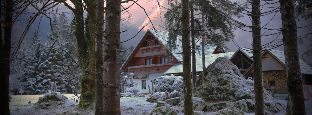 Ideal House Temperature in Winter: What Experts Recommend | Surex